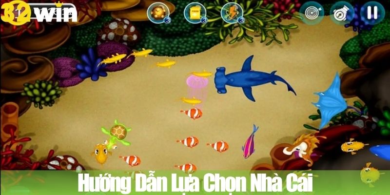 Ưu tiên nền tảng có giấy phép hoạt động hợp pháp