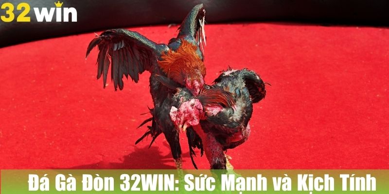 Đá Gà Đòn 32WIN: Sức Mạnh và Kịch Tính Trong Từng Trận Đấu
