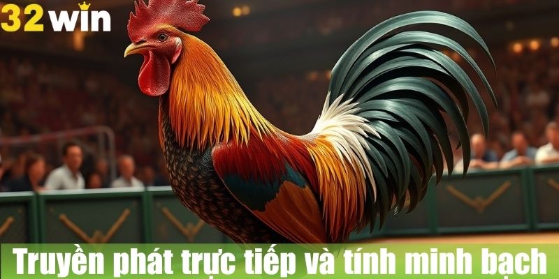 Truyền phát trực tiếp và tính minh bạch