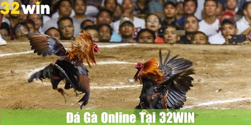 Đá Gà Online Tại 32WIN: Trận Chiến Gà Trực Tuyến Nảy Lửa