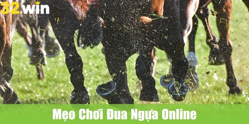 Ưu Điểm Của Việc Chơi Đua Ngựa Online