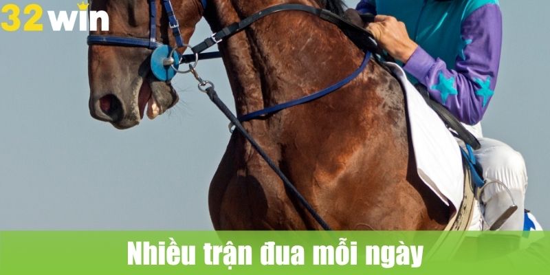 Trải Nghiệm Đua Ngựa Online Uy Tín Tại 32WIN